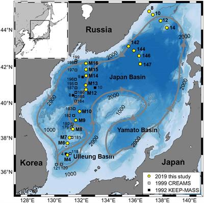 Large Increase in Dissolved Inorganic Carbon in the East Sea (Japan Sea) From 1999 to 2019